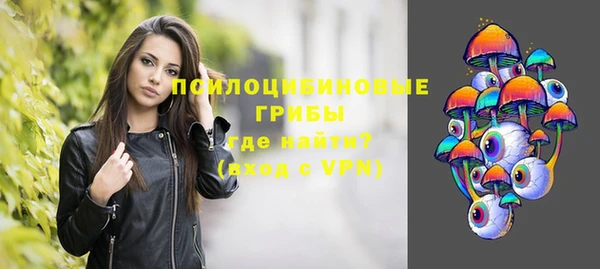 прущие грибы Нязепетровск