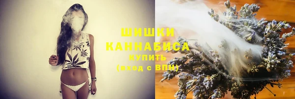 ПСИЛОЦИБИНОВЫЕ ГРИБЫ Няндома