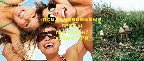 прущие грибы Нязепетровск