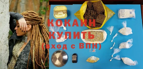 сатива Грязи