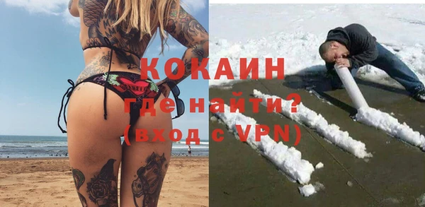 ПСИЛОЦИБИНОВЫЕ ГРИБЫ Няндома