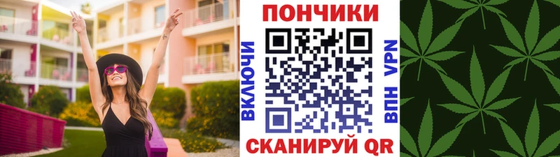 Конопля марихуана купить наркоту Котельнич